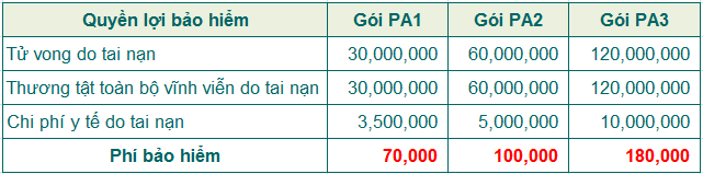 Bảo hiểm tai nạn gói cơ bản PA1